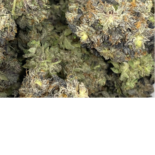 Top Shelf Bud YYC Brownie Scout Leafythings