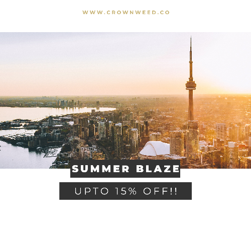 SUMMER☀️FLOWER SALE | FREE DELIVERY