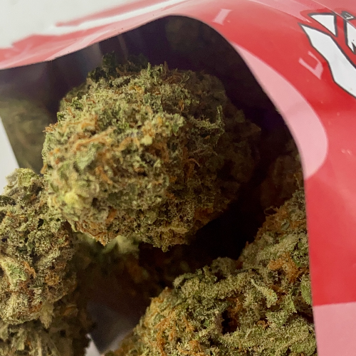 ⭐️G-Fire's $65 oz's are back!! Many flavours! 🎁High quality dank buds! We don't sell no bush! ☄️☄️