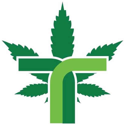 business-logo