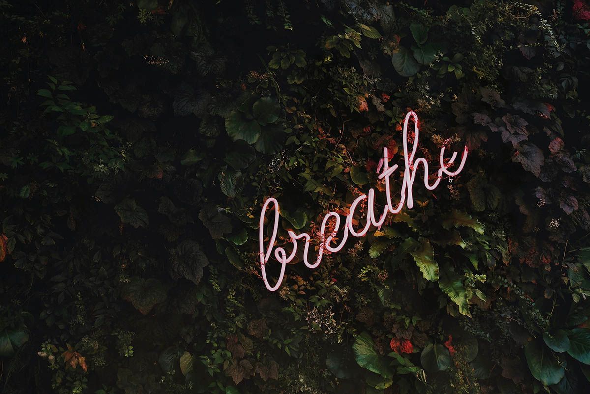 Best strains for anxiety