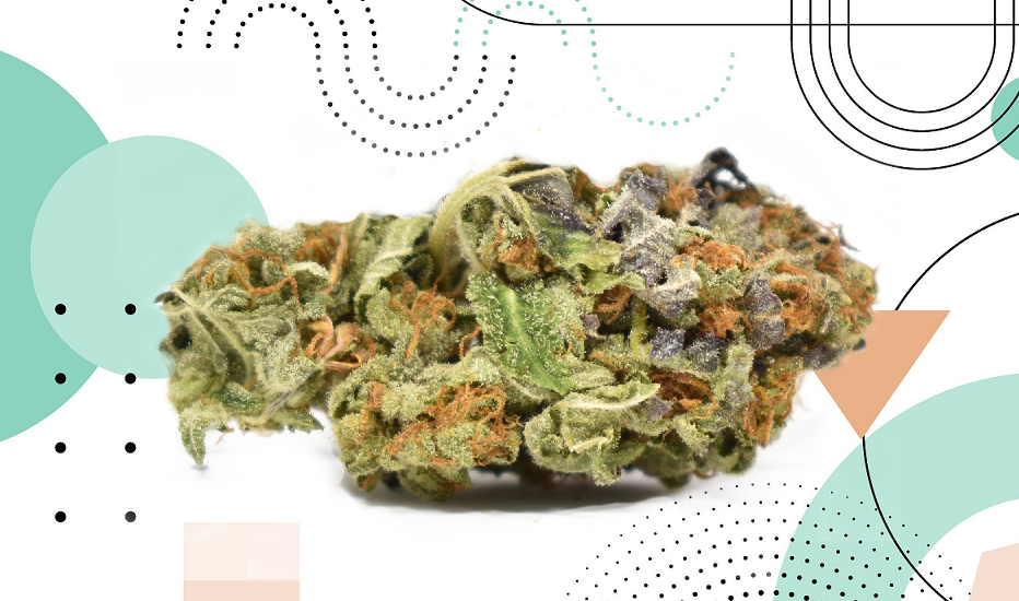 2016 Ford Focus Rs 2016 Ford Focus Rs 1 Of 1 Ken Block Hoonigan Edition Sema Tons Of Extras Ford Focus Rs Ford Focus Ford Focus Rs 2016