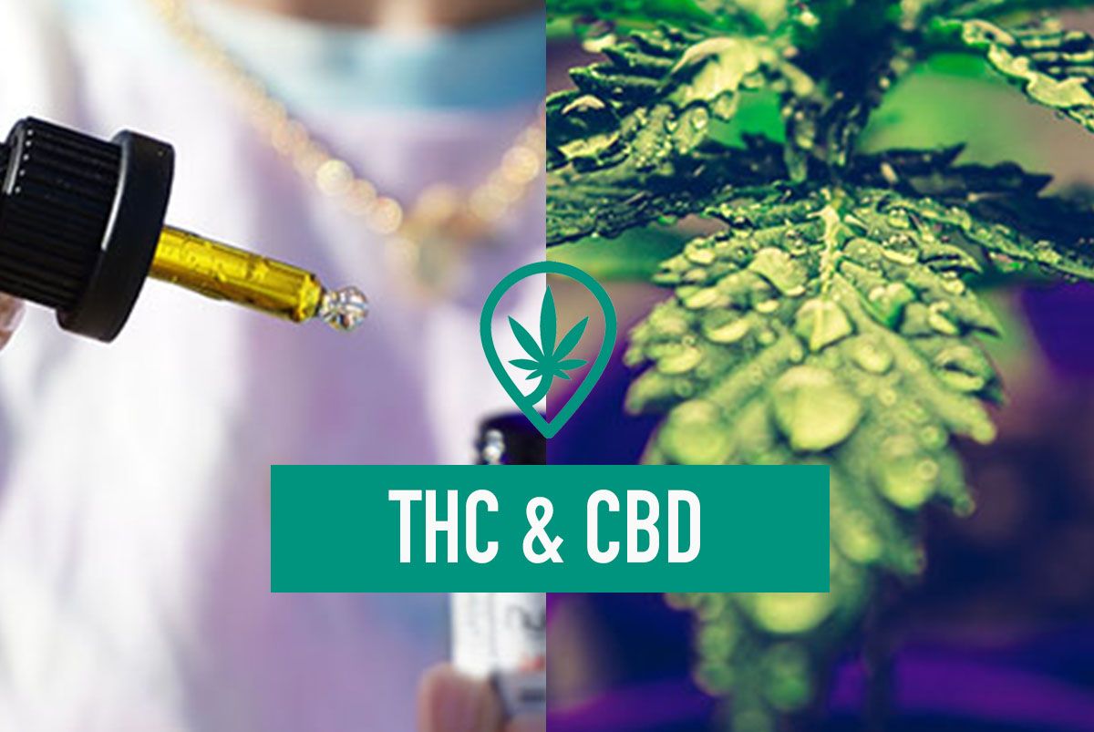 Benefits of CBD and THC together